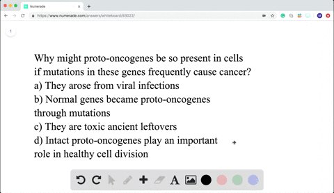 proto-oncogenes-can-change-into-oncogenes-that-cause-cancer-which-of-the-following-best-explains-the