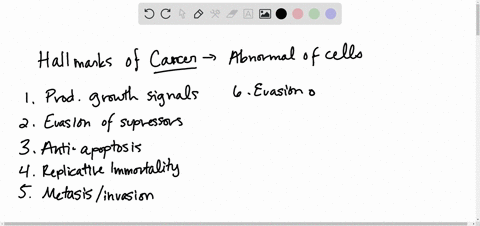 outline-the-steps-that-lead-to-a-cell-becoming-cancerous-2