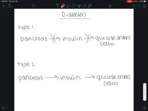 would-an-insulin-injection-help-a-person-with-type-2-diabetes-why-or-why-not