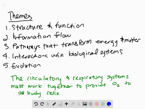 for-each-statement-below-identify-which-major-theme-is-evident-the-relationship-of-structure-to-f-19