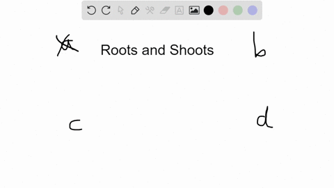 in-vascular-plants-one-difference-between-root-and-shoot-systems-is-that-root-systems-a-cannot-under