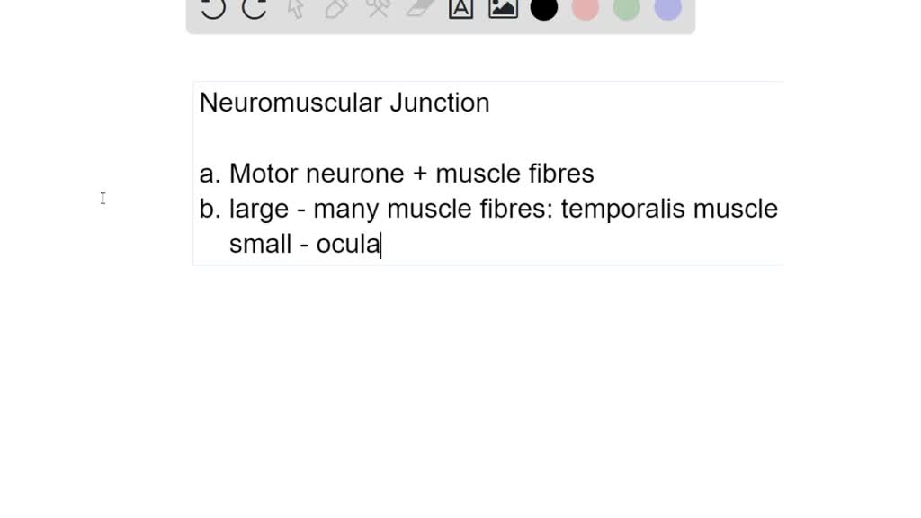 SOLVED:The neuromuscular junction (NMJ) is the synapse between a ...