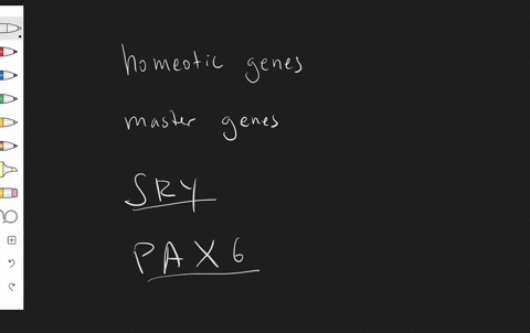 which-of-the-following-includes-all-of-the-others-a-homeotic-genes-b-master-genes-c-sry-gene-d-p-a-x