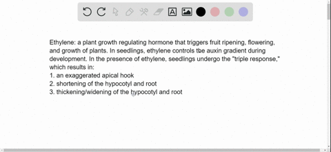 ethylene-a-causes-the-triple-response-in-seedlings-growing-underground-b-is-liquid-at-room-tempera-2