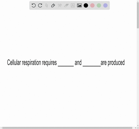 choose-the-best-answer-for-each-question-cellular-respiration-requires-_______-and-________are-produ