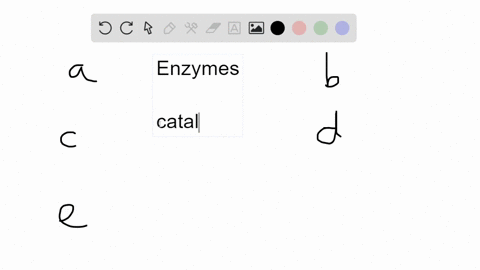 which-of-the-following-statements-is-false-enzymes-a-bind-to-substrates-b-lower-the-energy-of-activa