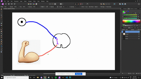 how-do-sensory-motor-and-interneurons-differ-2