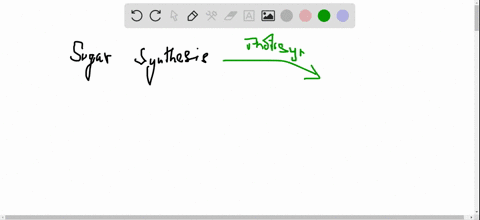would-you-expect-the-production-of-sugars-by-plants-in-photosynthesis-to-be-an-exergonic-or-endergon