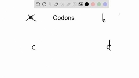 codons-are-found-in-which-of-the-following-types-of-rna-a-snrna-b-mathrmmrna-c-trna-d-mathrmrrna