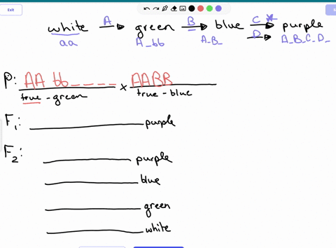 in-a-certain-species-of-flowering-plants-with-a-diploid-genome-four-enzymes-are-involved-in-the-gene
