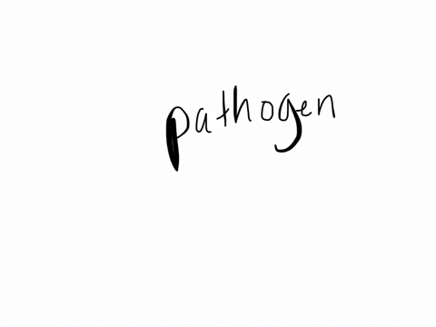 bacteria-perform-the-following-ecological-roles-which-role-typically-does-not-involve-symbiosis-begi