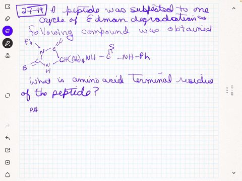 a-peptide-was-subjected-to-one-cycle-of-the-edman-degradation-and-the-following-compound-was-obtaine