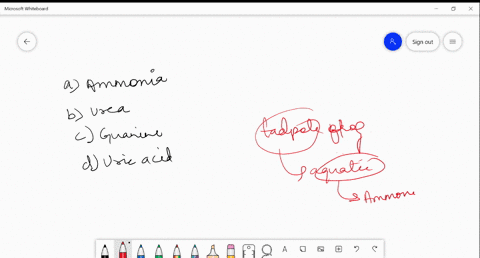 nitrogenous-excretory-product-of-frog-tadpole-is-a-ammonia-b-urea-c-guanine-d-uric-acid