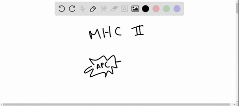 mhc-class-ii-molecules-bind-to-_____________-and-trigger-_______________-a-endogenous-antigens-cytot