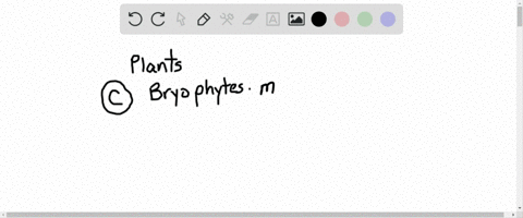 the-first-plants-were-________-a-ferns-b-flowering-plants-c-bryophytes-d-conifers