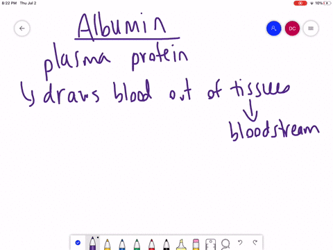 which-of-the-following-statements-about-albumin-is-true-a-it-draws-water-out-of-the-blood-vessels-an