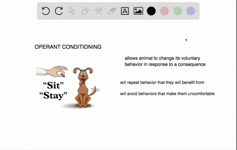with________-the-consequences-of-a-voluntary-behavior-cause-an-animal-to-repeat-or-avoid-that-behavi