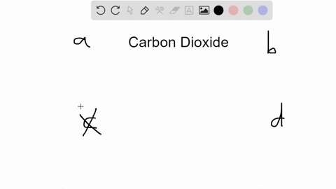 which-of-the-following-is-the-primary-method-by-which-carbon-dioxide-is-transported-to-the-lungs-a-3