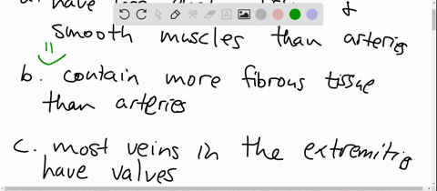 which-statement-does-not-accurately-describe-veins-a-have-less-elastic-tissue-and-smooth-muscle-than