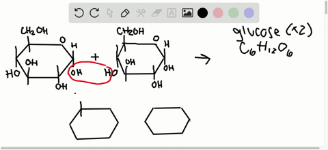 SOLVED:Enzymes that break down DNA catalyze the hydrolysis of the ...