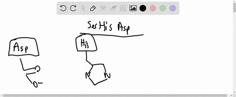 diagram-the-hydrogen-bonding-interactions-of-the-catalytic-triad-his-lys-ser-during-catalysis-in-a-2
