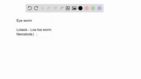 eye-worm-is-another-name-for-________