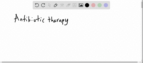 why-is-proper-antibiotic-therapy-especially-important-for-patients-with-tuberculosis