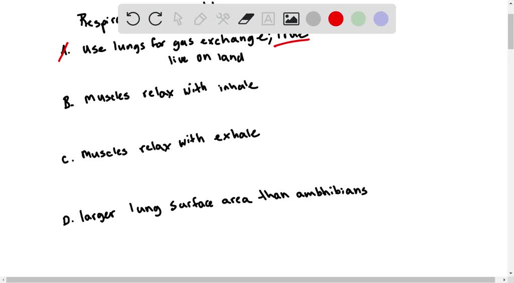 SOLVED:Which is not true about respiration in reptiles? A. Most ...