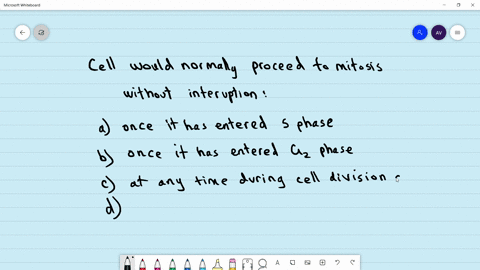 cell-would-normally-proceed-to-mitosis-without-interruption-a-once-it-has-entered-the-s-phase-b-once