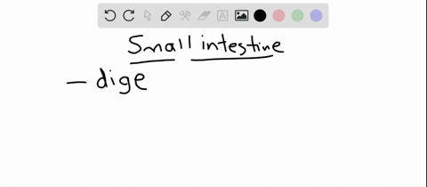 the-digestive-enzymes-of-the-small-intestine-a-do-not-function-best-at-a-low-ph-b-are-produced-and-2