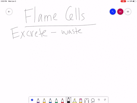 flame-cells-are-primitive-excretory-organs-found-in-_____________-a-arthropods-b-annelids-c-mammals-