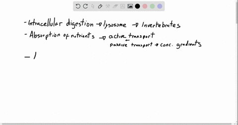 which-of-the-following-statements-is-true-a-intracellular-digestion-commonly-occurs-in-vertebrates-2