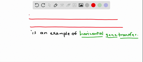 which-of-the-following-is-an-example-of-horizontal-gene-transfer-a-the-transmission-of-an-cye-color-