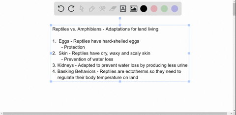 list-the-adaptations-that-distinguish-reptiles-from-amphibians-and-help-reptiles-adapt-to-life-in-dr