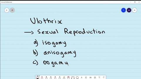 in-ulothrix-sexual-reproduction-is-by-a-isogamy-b-anisogamy-c-oogamy-d-conjugation