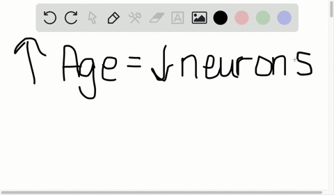 what-is-one-way-in-which-older-adults-compensate-for-less-efficient-brain-functioning-3