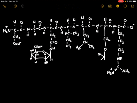 integrates-with-chapters-4-and-5-consider-the-peptide-dgnilsr-where-mathrmn-has-a-covalently-linked-