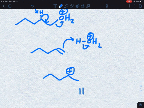 what-stereoisomers-are-formed-in-the-following-reactions-which-stereoisomer-is-the-major-product-a-t