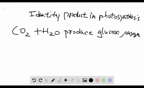 photosynthesis-identify-the-products-in-the-following-reaction-that-occurs-in-plants-carbon-dioxide-