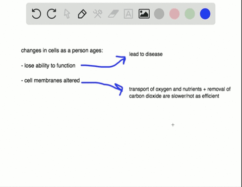 discuss-changes-that-occur-in-cells-as-a-person-ages