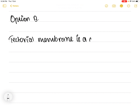 the-gelatinous-membrane-covering-the-sensory-hair-cells-of-the-ear-is-known-as-a-reissners-membrane-
