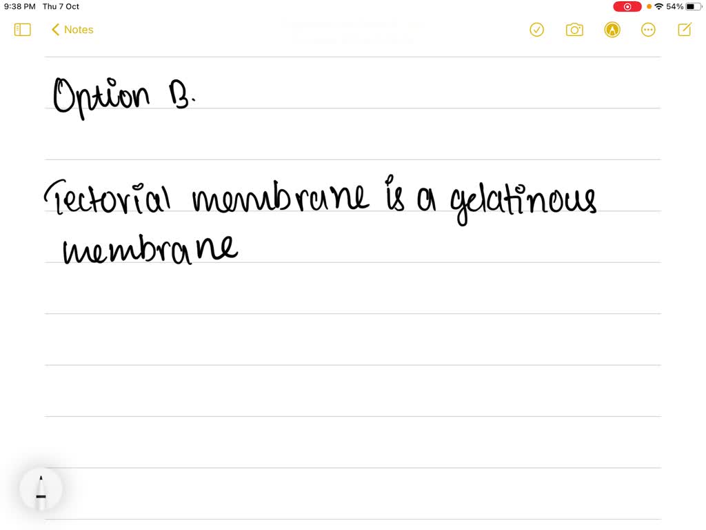 SOLVEDThe gelatinous membrane covering the sensory hair cells of the