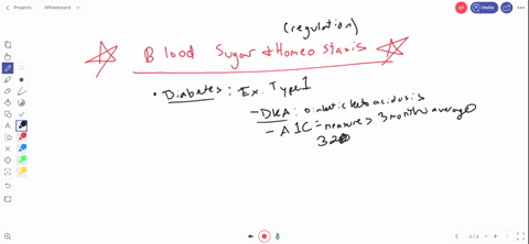 _____________-lowers-blood-sugar-levels-____________-raises-the-level-of-blood-sugar-a-glucagon-insu