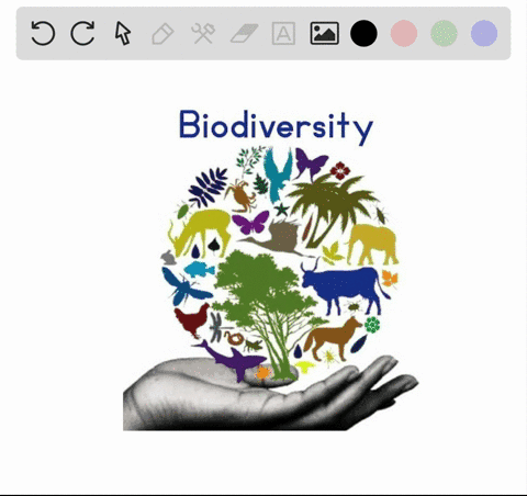 saving-endangered-habitats-such-as-the-argentine-pampas-focuses-on-a-saving-genetic-diversity-b-savi