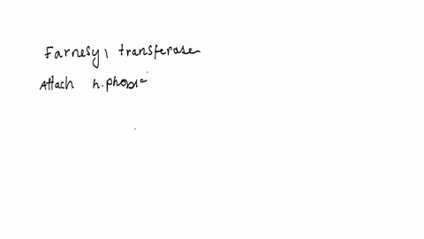 farnesyl-transferase-is-an-enzyme-which-catalyses-the-attachment-of-a-long-hydrophobic-chain-to-the