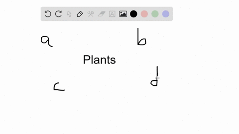 which-of-the-following-statements-is-not-correct-a-gymnosperms-are-the-simplest-vascular-plants-b-br