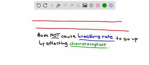 which-of-the-following-factors-does-not-increase-the-rate-of-breathing-by-influencing-the-chemorecep