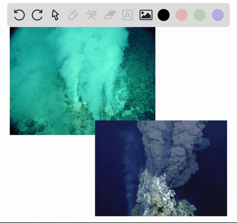 hydrothermal-vents-are-theorized-as-sources-for-the-origin-of-life-because-a-the-temperature-of-the-