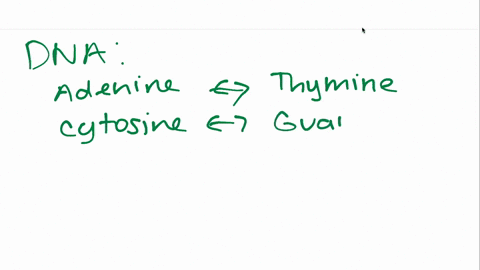 in-dna-which-base-complements-adenine-a-cytosine-b-guanine-c-thymine-d-uracil