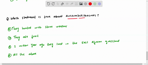 which-statement-is-true-about-australopithecines-a-they-hunted-with-stone-weapons-b-they-ate-fruit-c